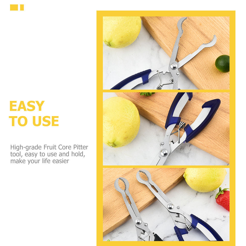 Stainless Steel Hawthorn Pitte - огляд і ціна Kitchen Gadgets Kitchen